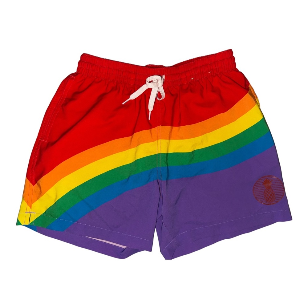 Chubbies Rainbow Pineapple Swim Trunks S